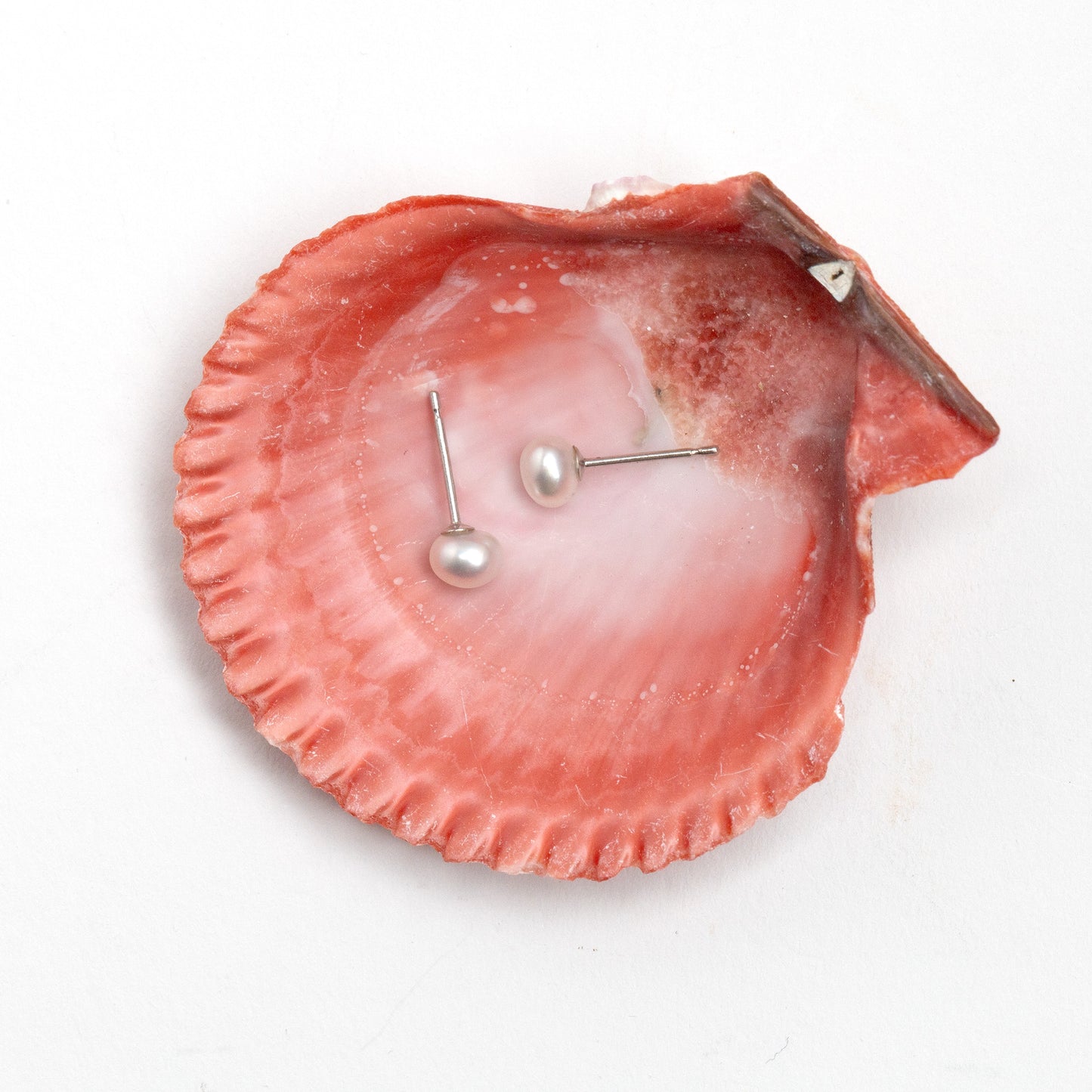 Keshi Akoya Pearl Earrings in 14k Yellow Gold