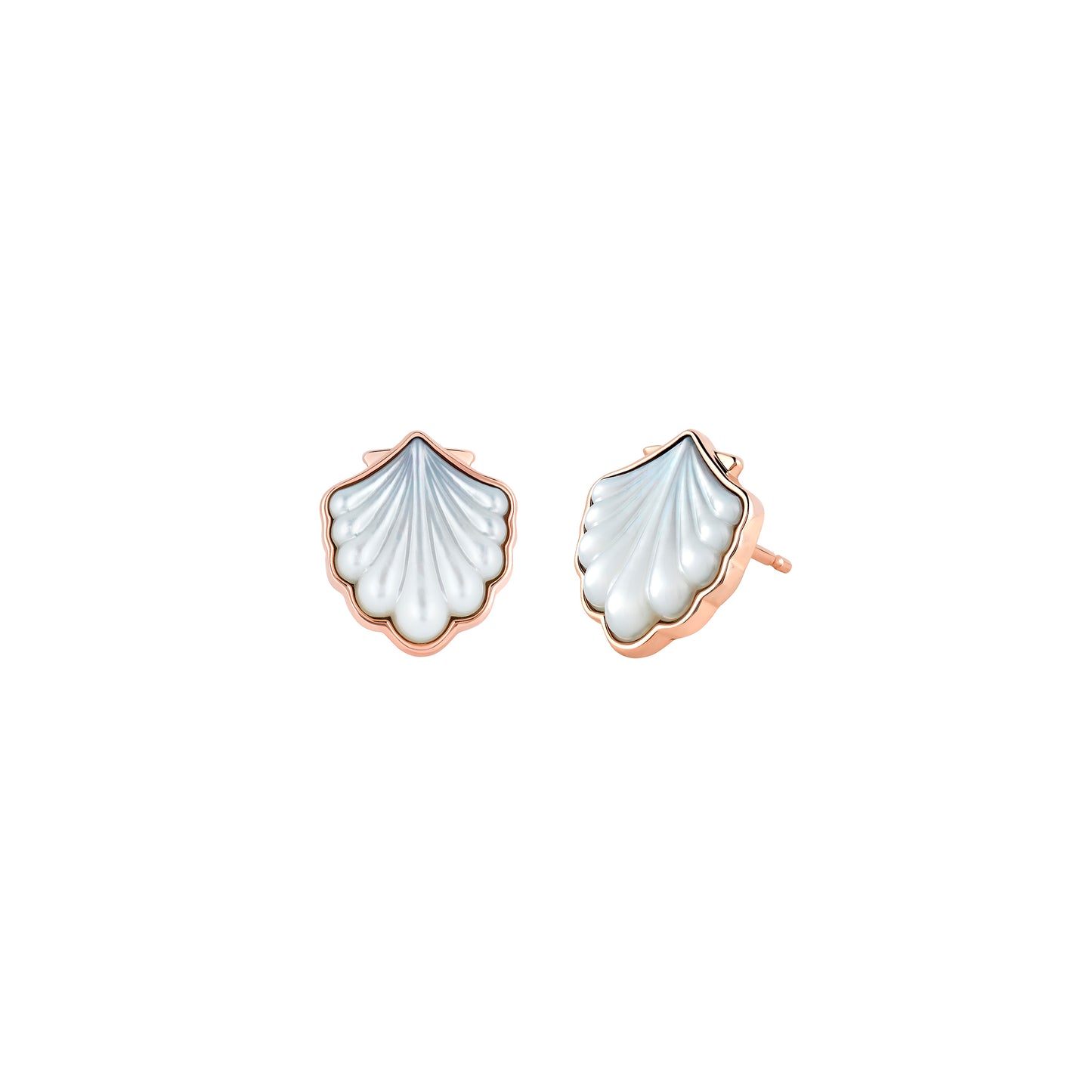 Shell Earrings in SMO 14k Rose Gold