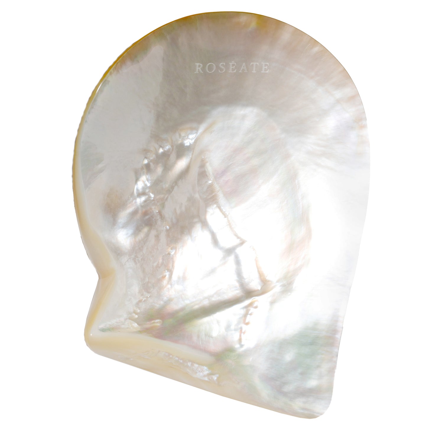 Australian South Sea Mother-of-Pearl Shell