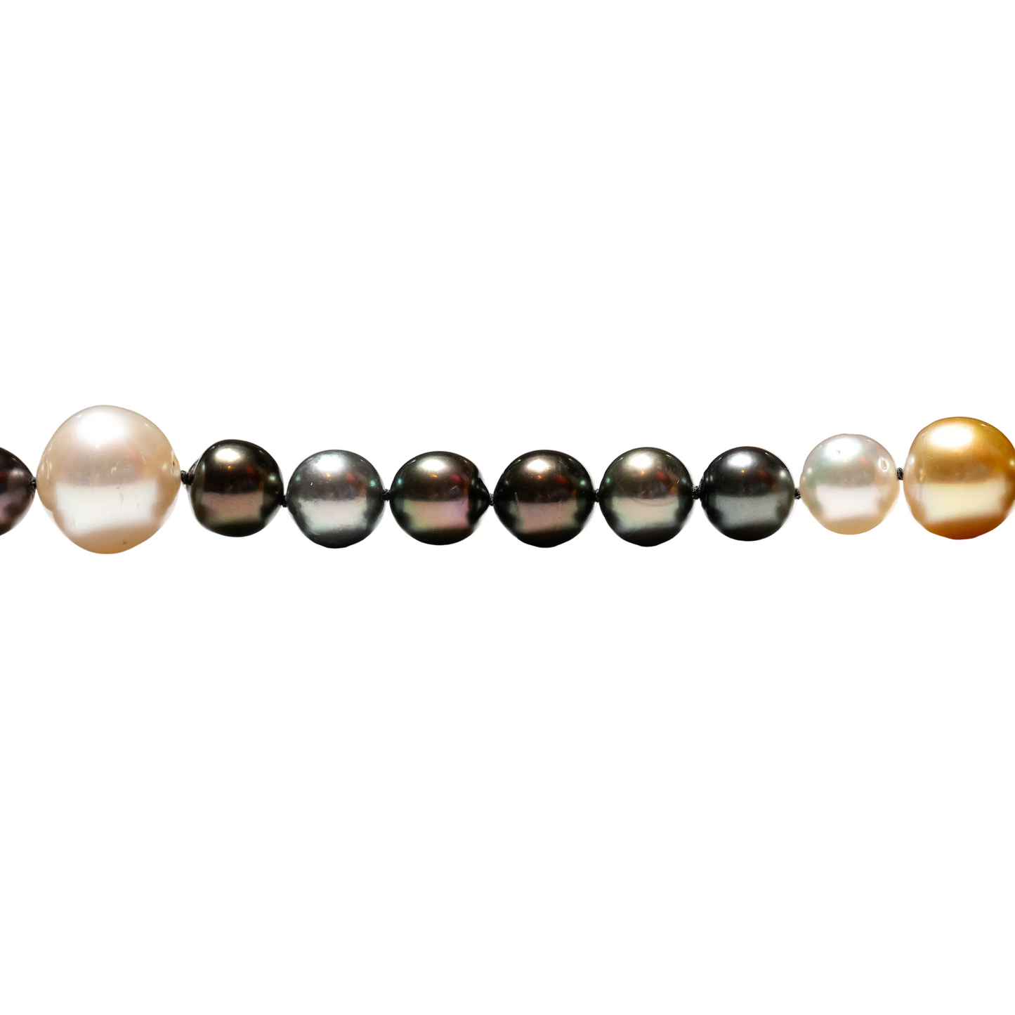 Cropped image showing Tahitan and South Sea pearls