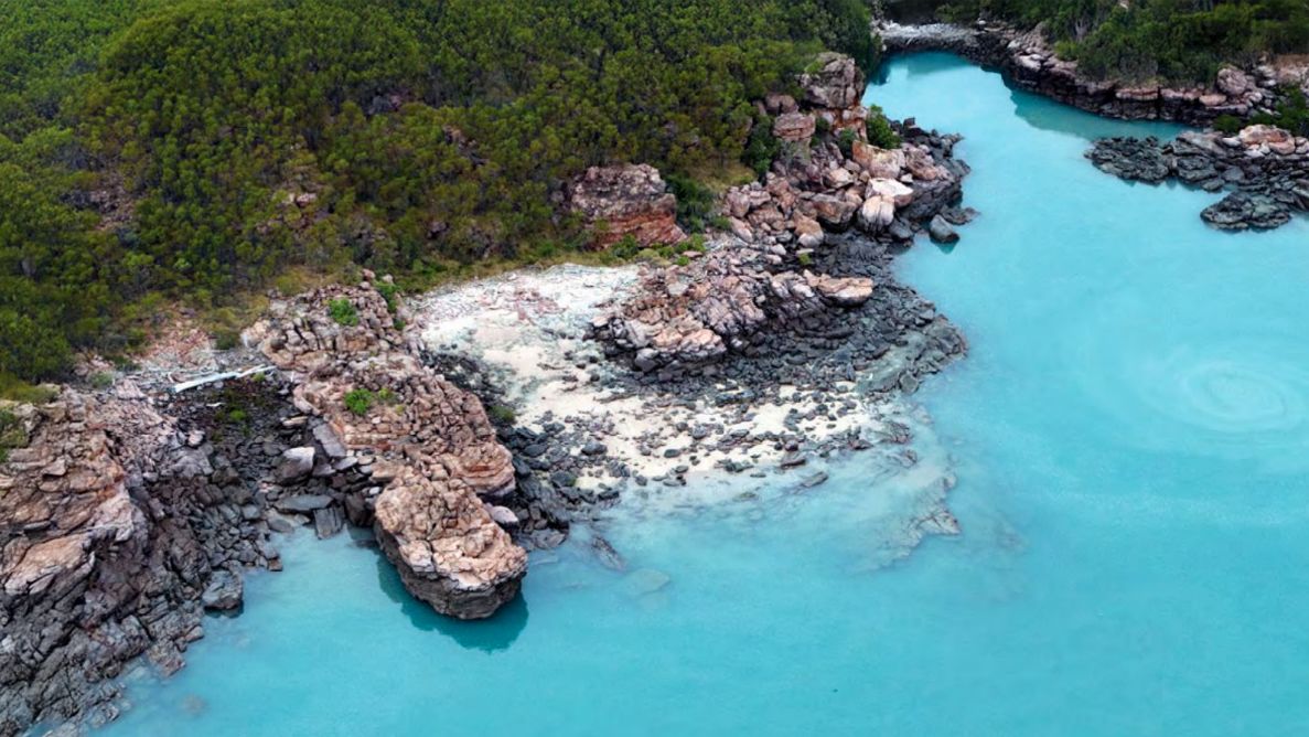 Founded in 1932, Paspaley is Australia’s oldest pearl company and the source of our South Sea pearls and mother-of-pearl. The company dives for wild Pinctada maxima oysters off the remote shores of Australia’s Kimberley coast, harvesting a limited number at any one time to ensure long-term sustainability of the industry. 