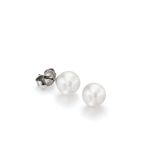 Pair of pearl stud earrings on a white background