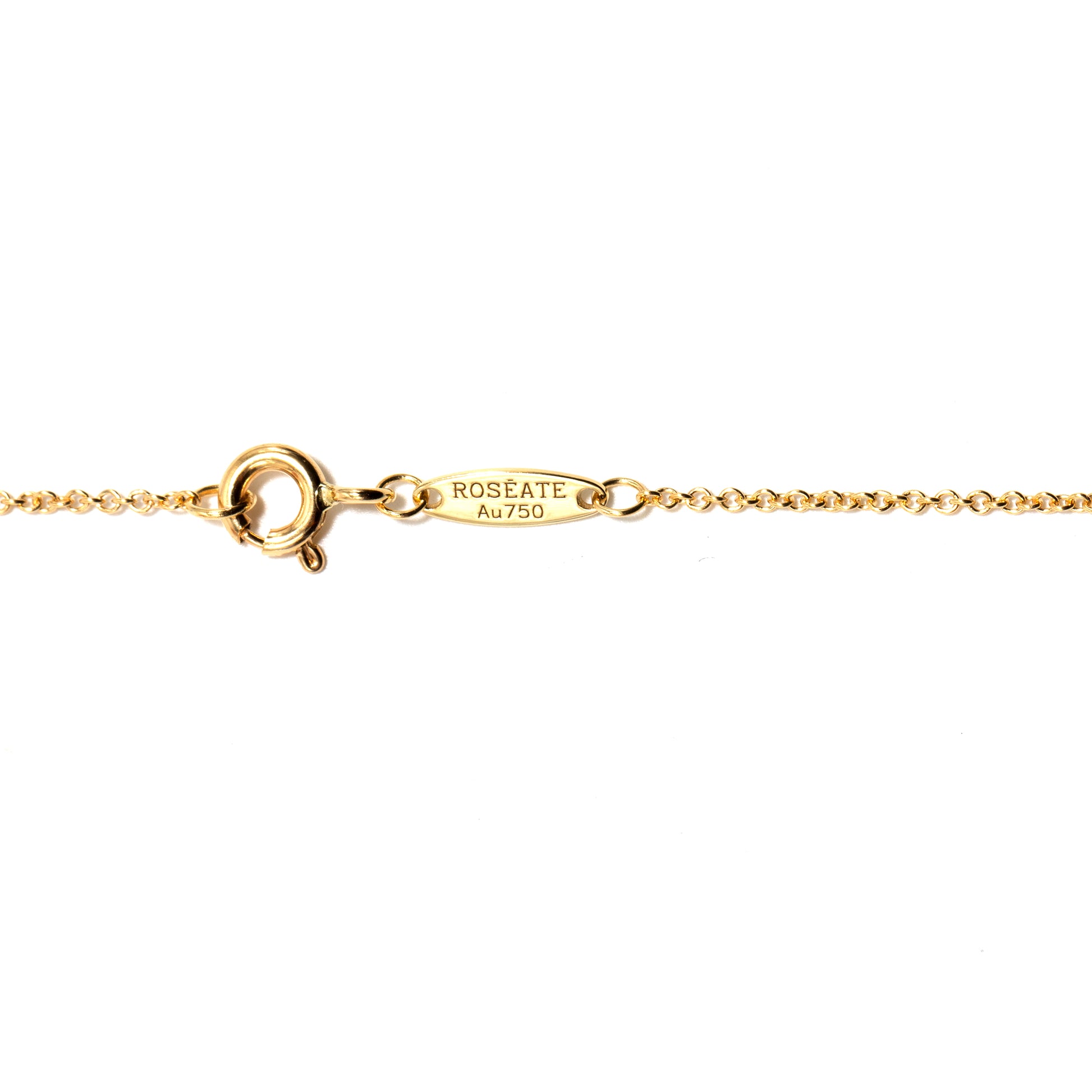 Roseate chain necklace in 18k yellow gold