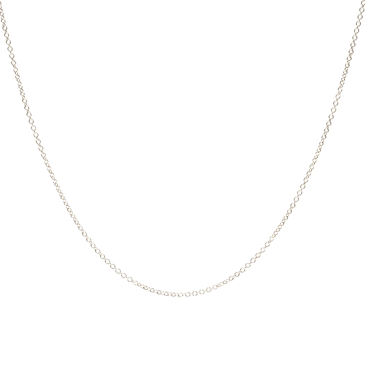 Close detail of Roseate chain necklace in sterling silver