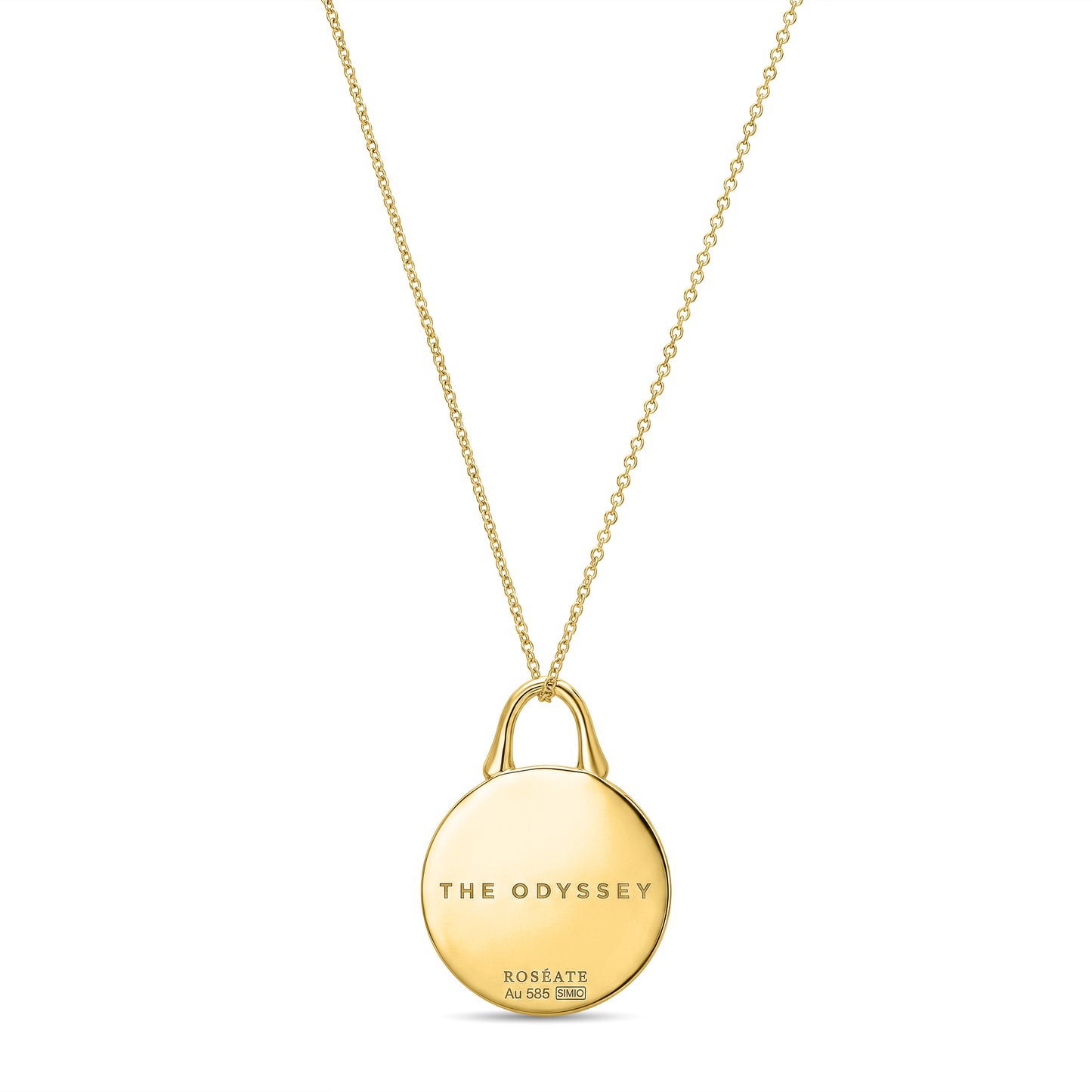 The Odyssey | Roseate Courage lion pendant in 14k yellow gold with mother-of-pearl, 12mm, back view showing engraving