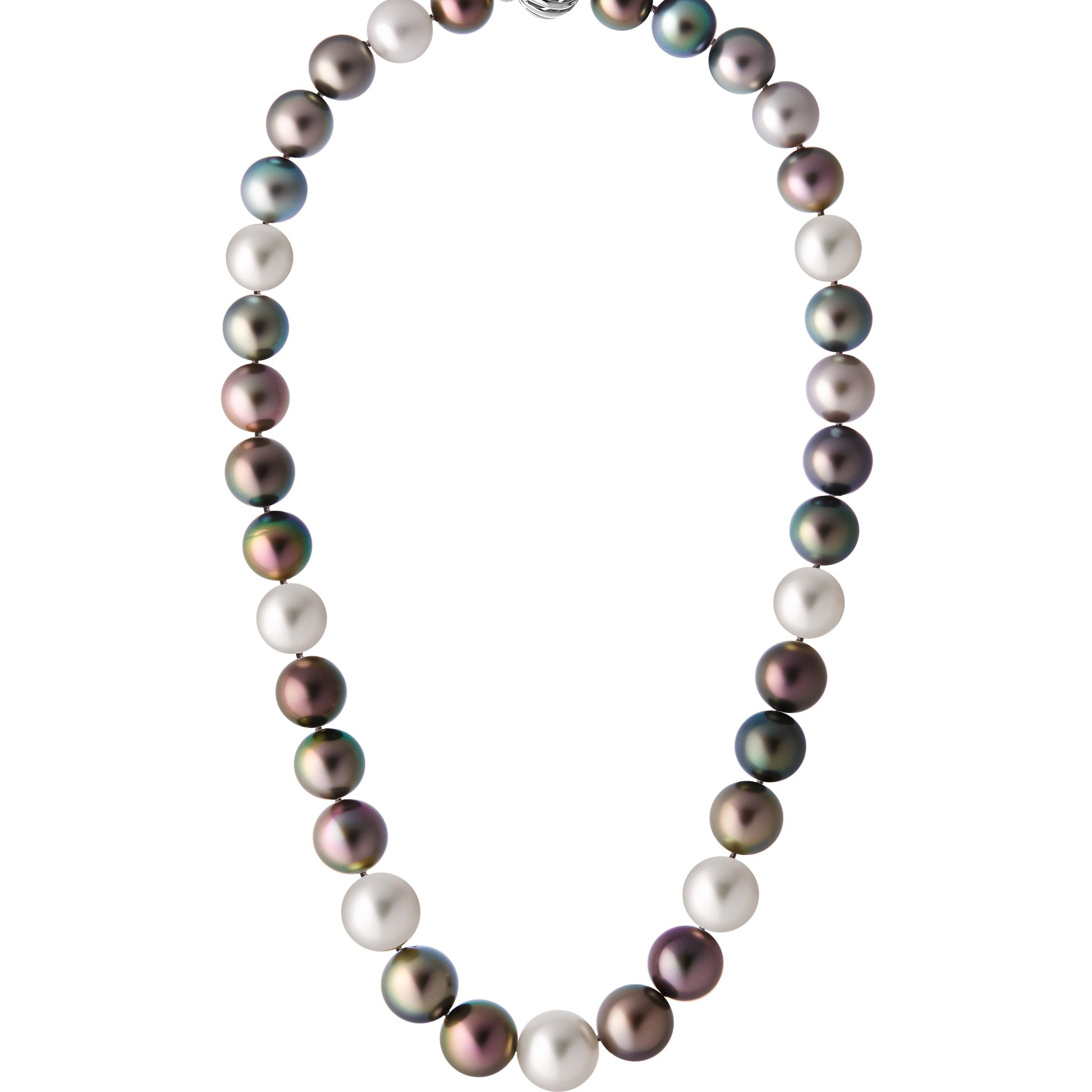 Front view of The Odyssey | Roseate Moons Collection round 10-13mm Tahitian and South Sea pearl necklace with an 18K white gold swirl clasp.