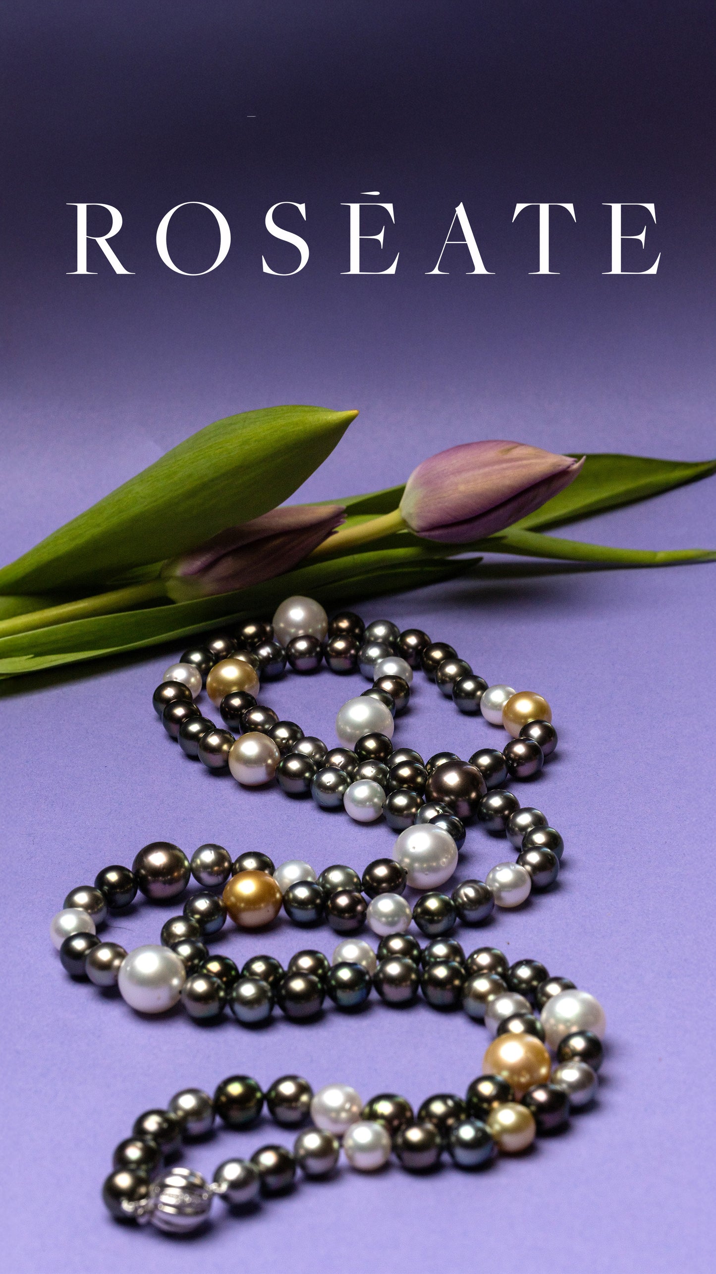 Tahitian and south sea pearl opera length necklace on a purple background,